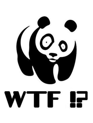 Panda-SAY-wtf.jpg