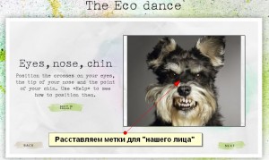 ecodance простановка меток лица