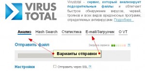 virus total variant
