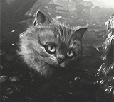 Cheshire Cat Photoset